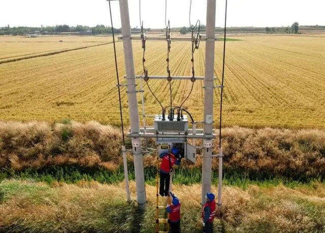 配電箱助力“電力?！报D農(nóng)民有了“電力?！碑a(chǎn)業(yè)發(fā)展質(zhì)效